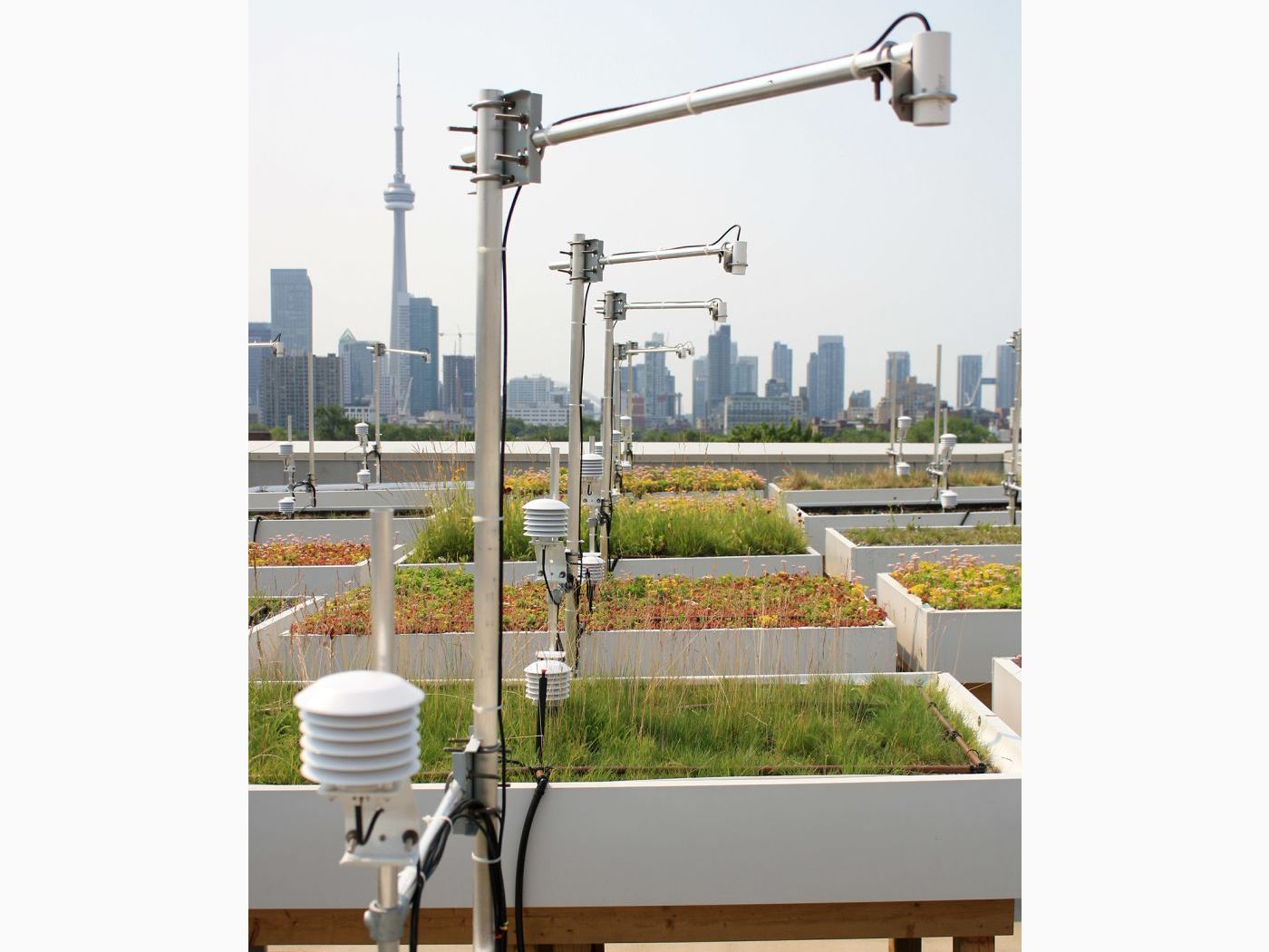 Ontario: Green Roofs image 1