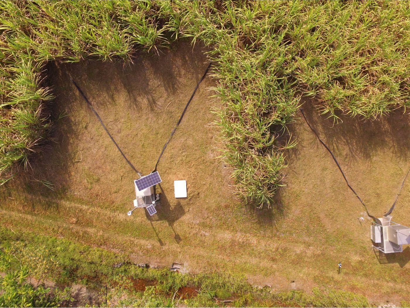 Australia: Sugarcane Soil Nutrient Monitoring image 1