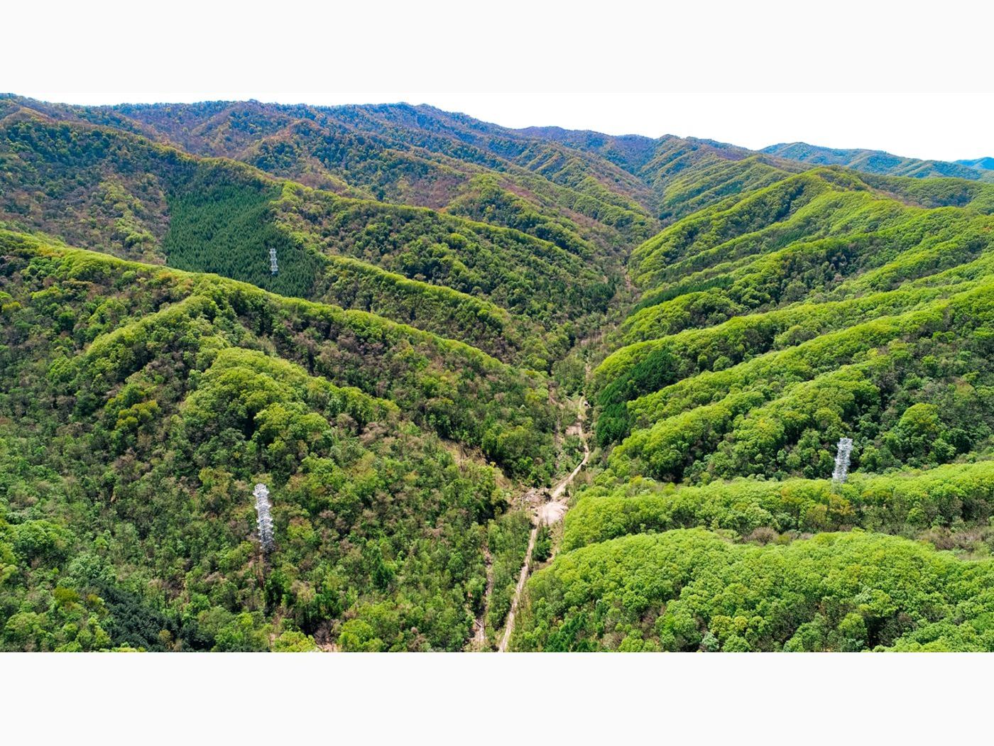 China: Flux Cooperation image 1