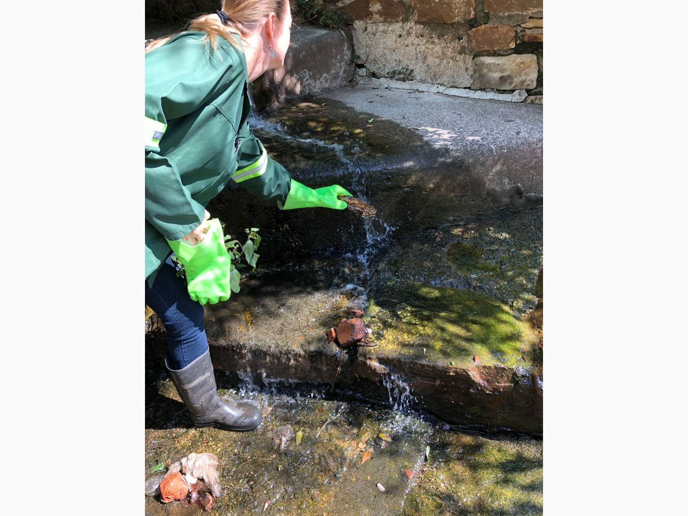 South Africa: Transforming a Polluted River image 1