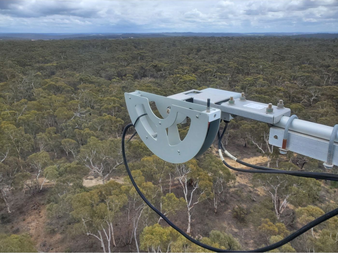 Australia: Using Sun-Induced Fluorescence to Detect Plant Stress image 1