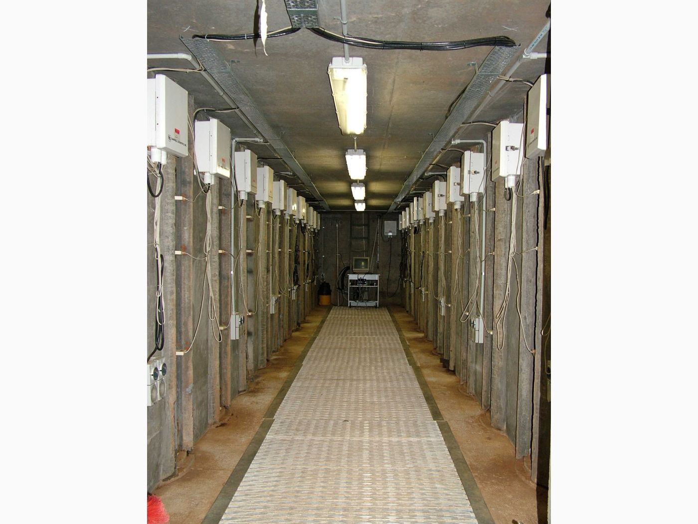 Australia: Rhizolysimeter Facility image 1