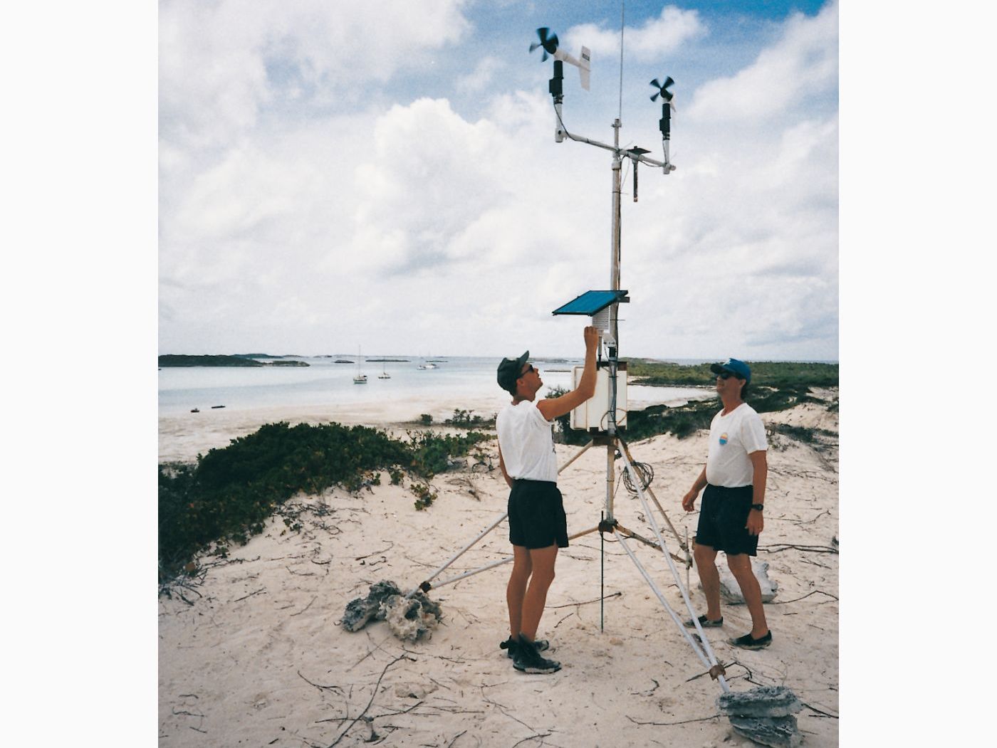 Bahamas: Marine Ecology image 1