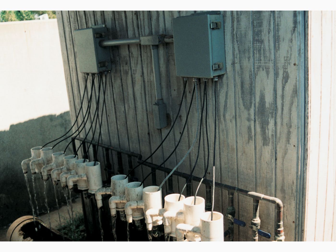 California: Monitoring Water Quality at a Recirculating Aquaculture Facility image 1