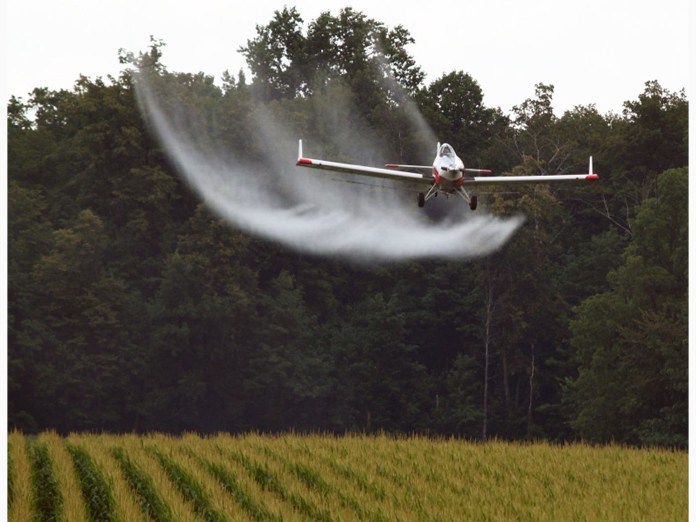 Alberta: Crop Dusting image 1