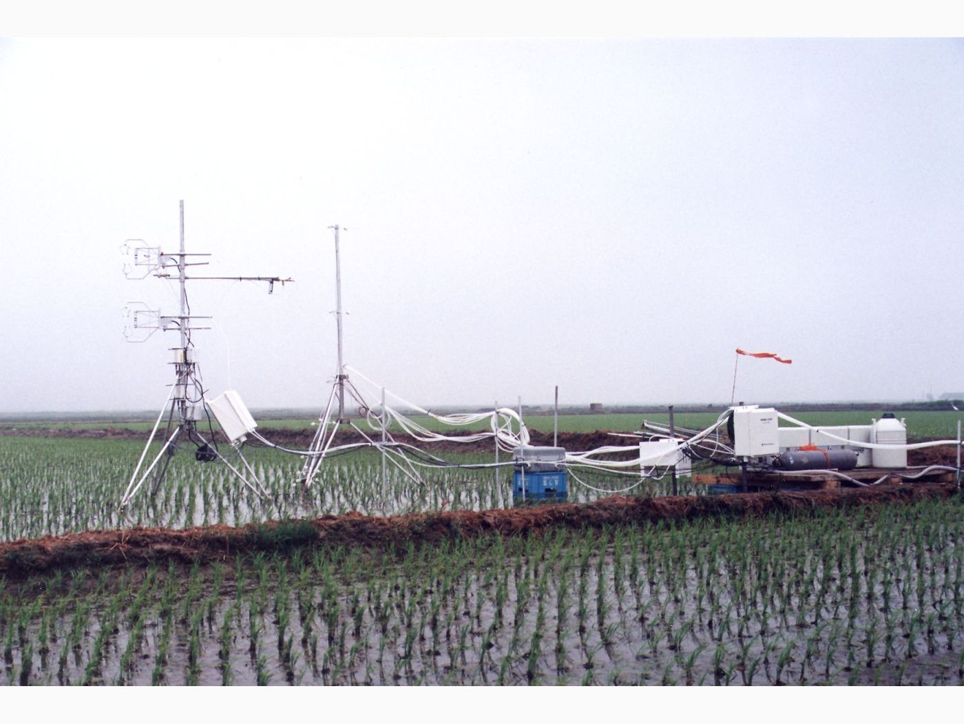 Korea: Flux Monitoring over a Rice Paddy image 1