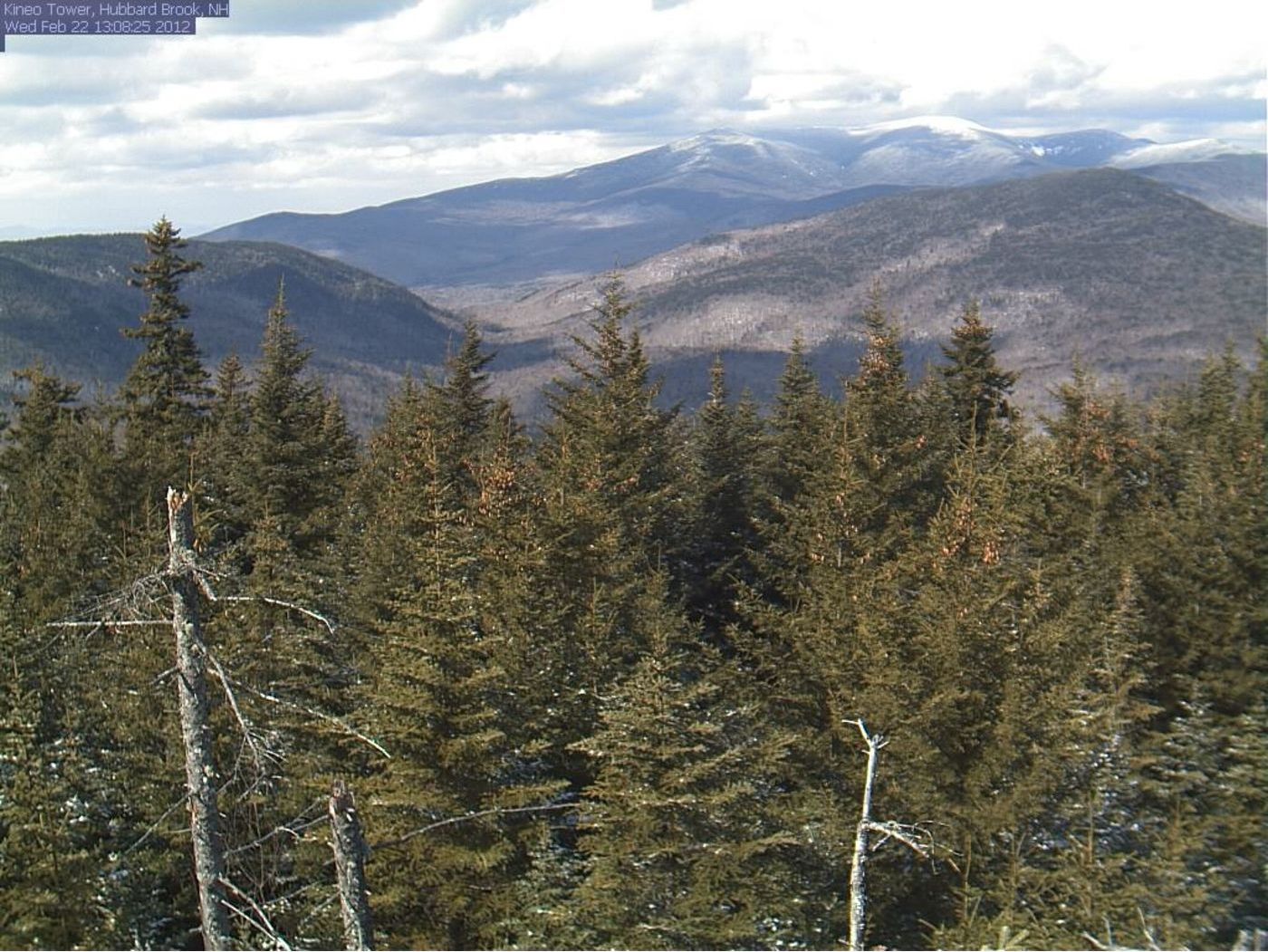 New Hampshire: Webcams in Forest image 1