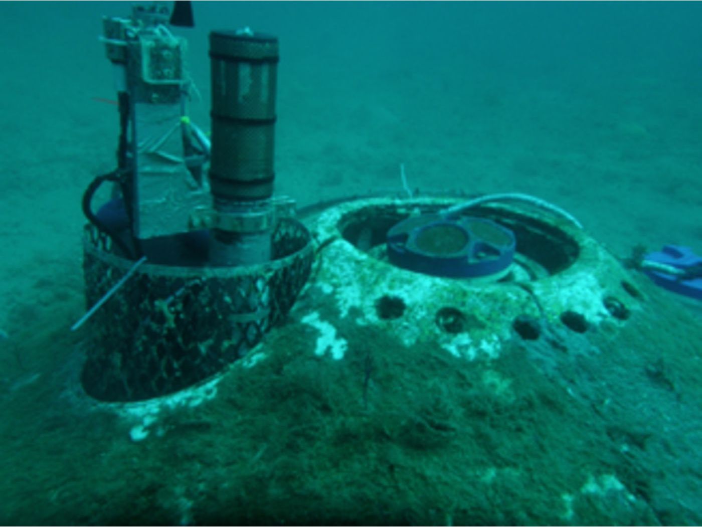 Florida: Oceanography in the Gulf of Mexico image 1