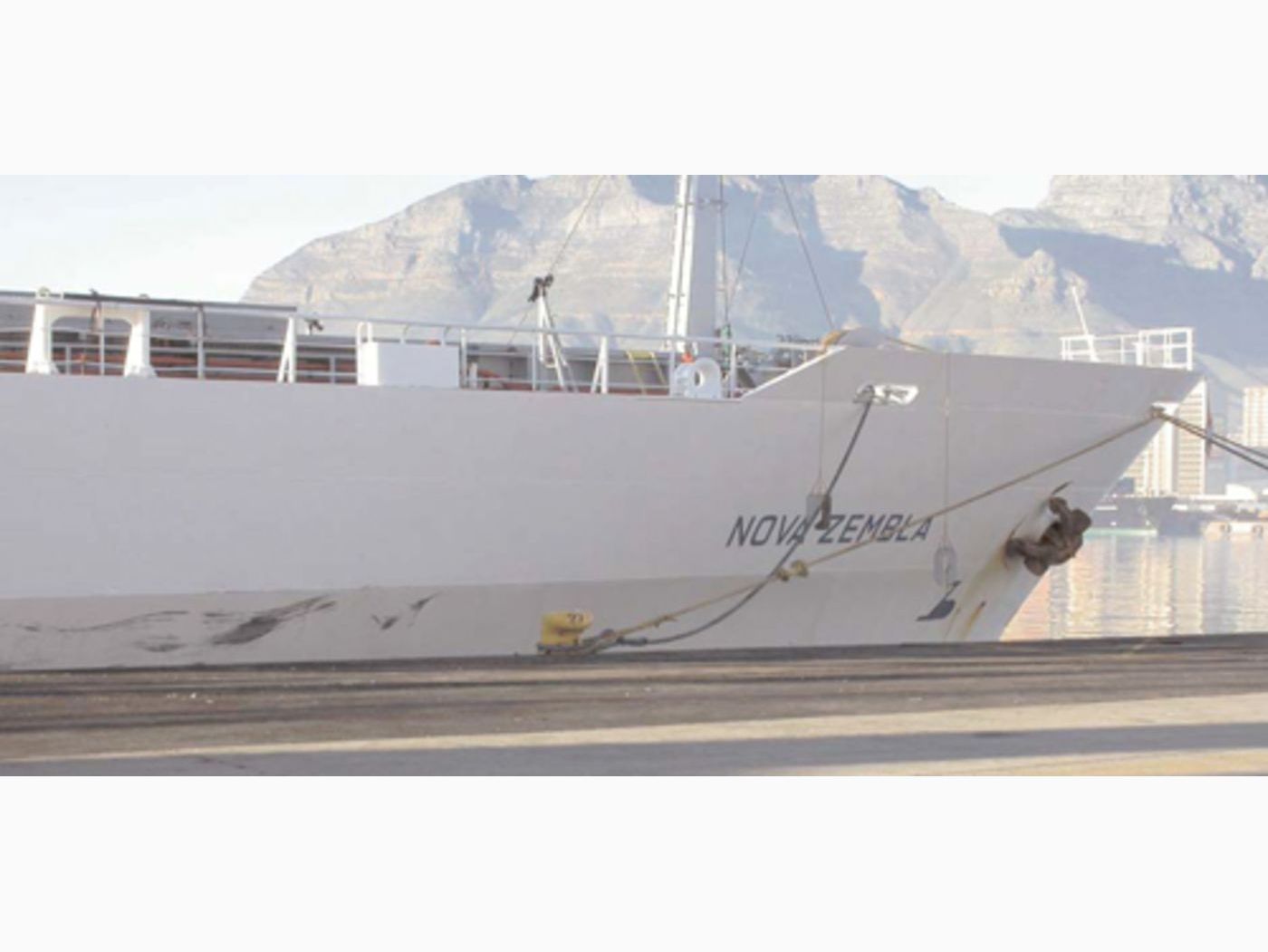 South Africa: Citrus Research Institute Monitors Exports image 1