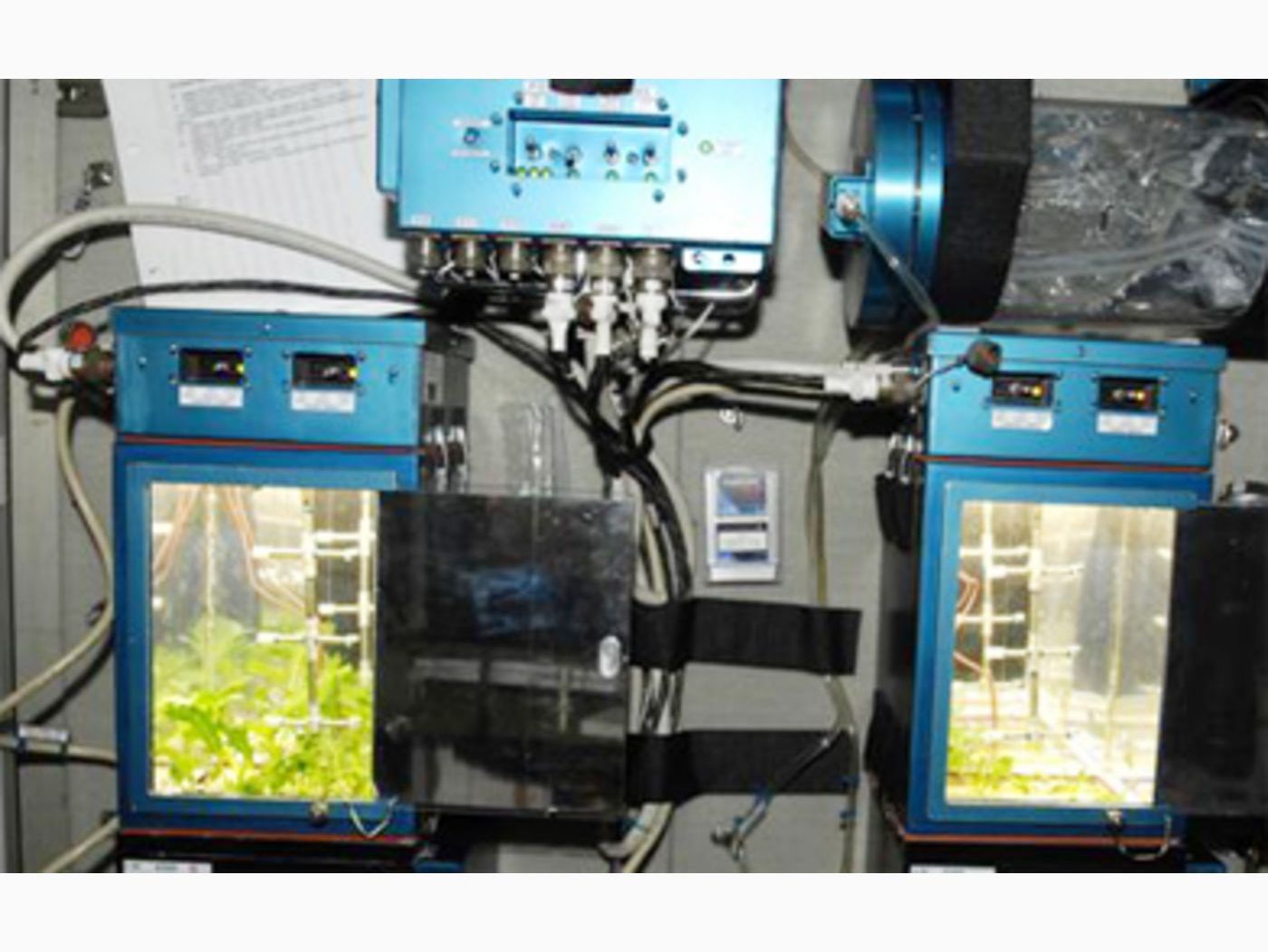 Space Farmers image 1