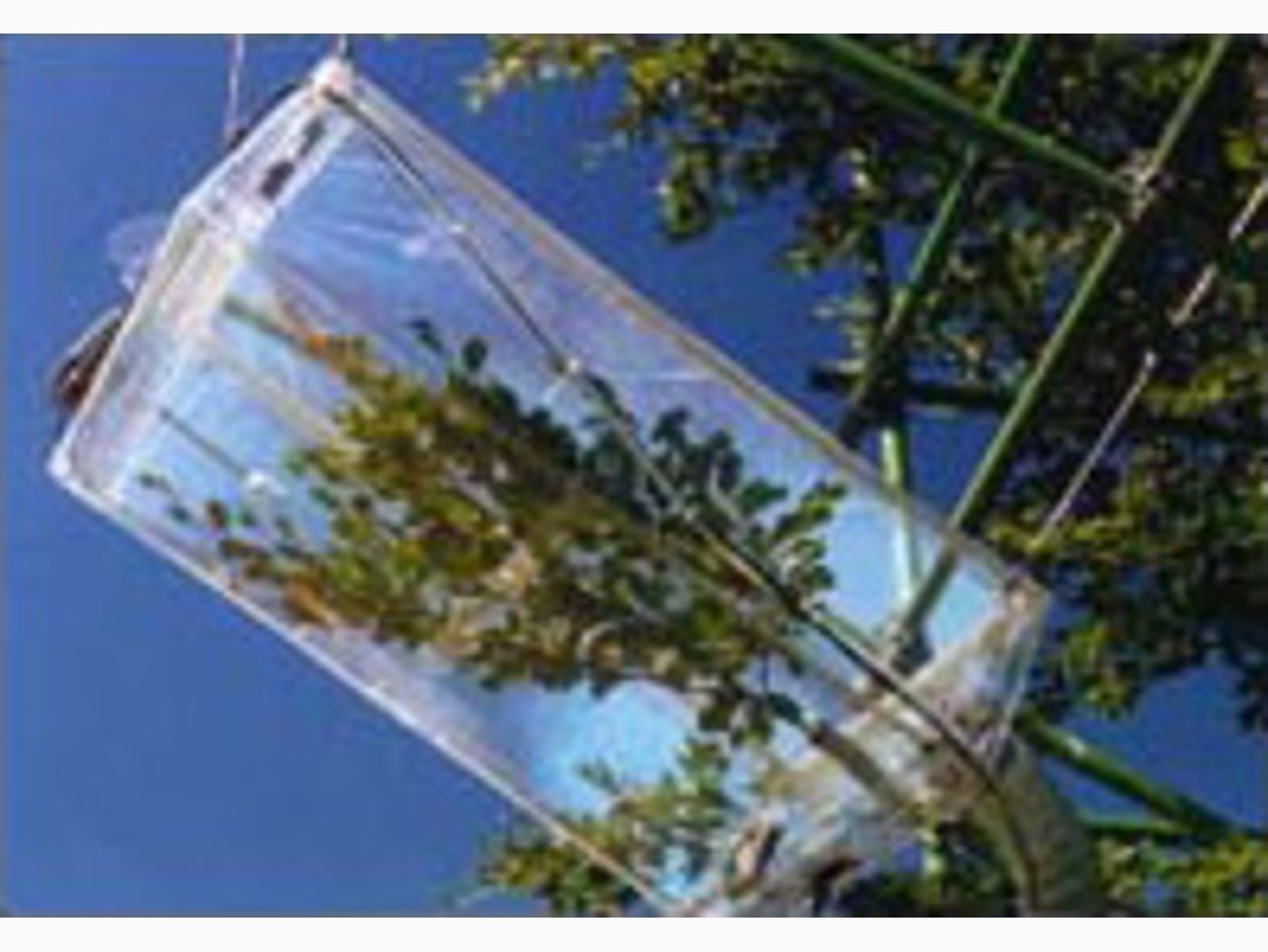 France: Plant Research with Branch Bag System image 1