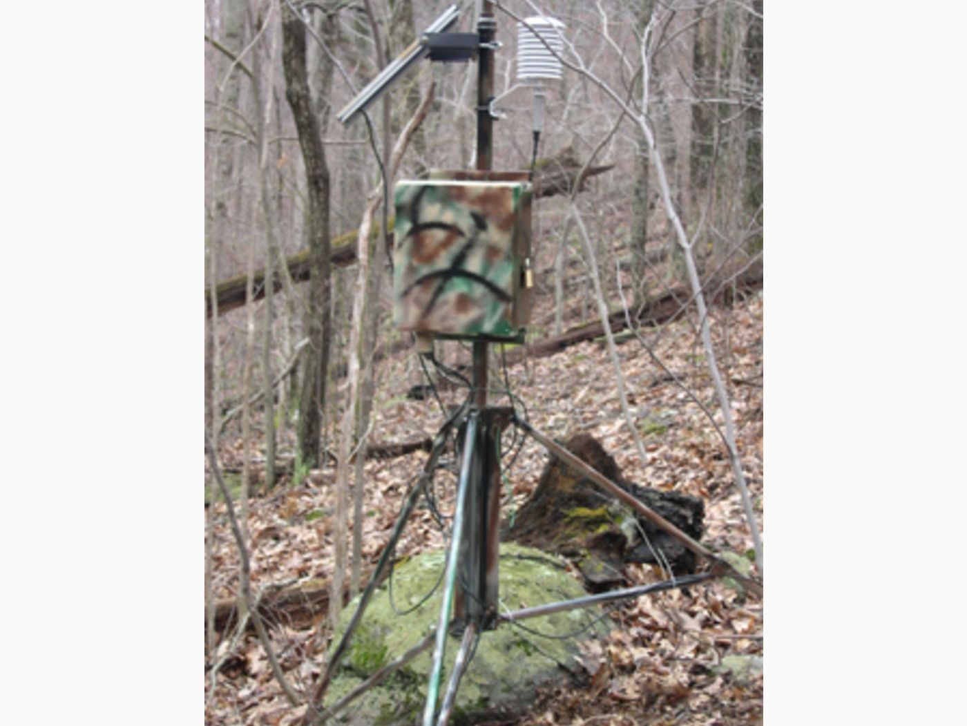 Virginia: Tracking Climate Changes in National Park image 1