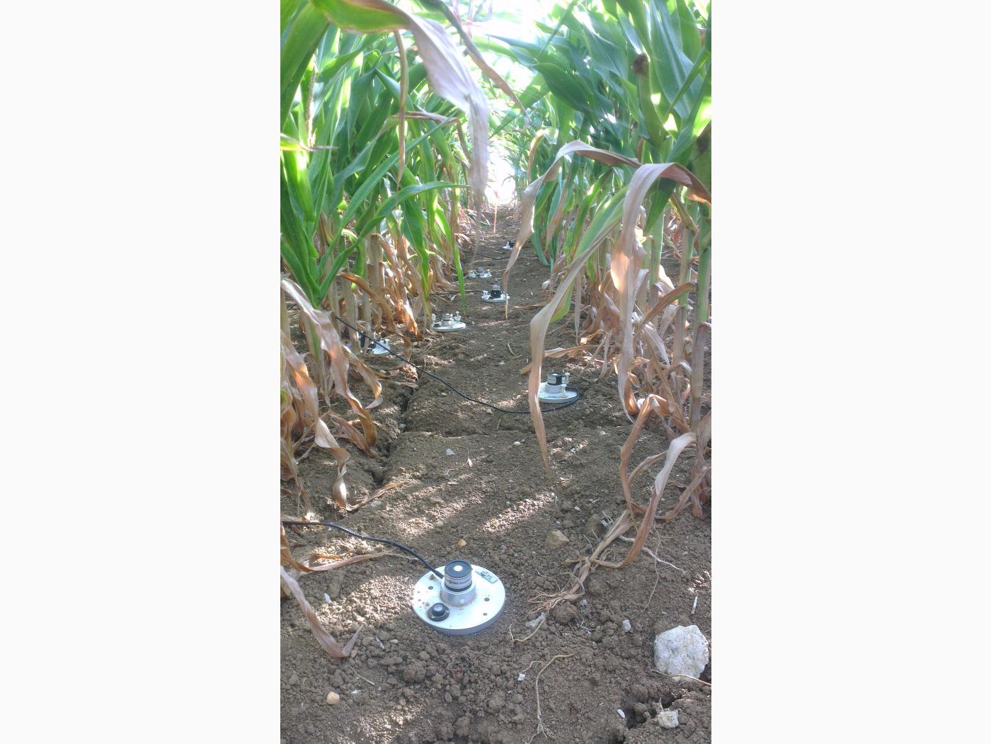 France: Studying Crop Yields image 1