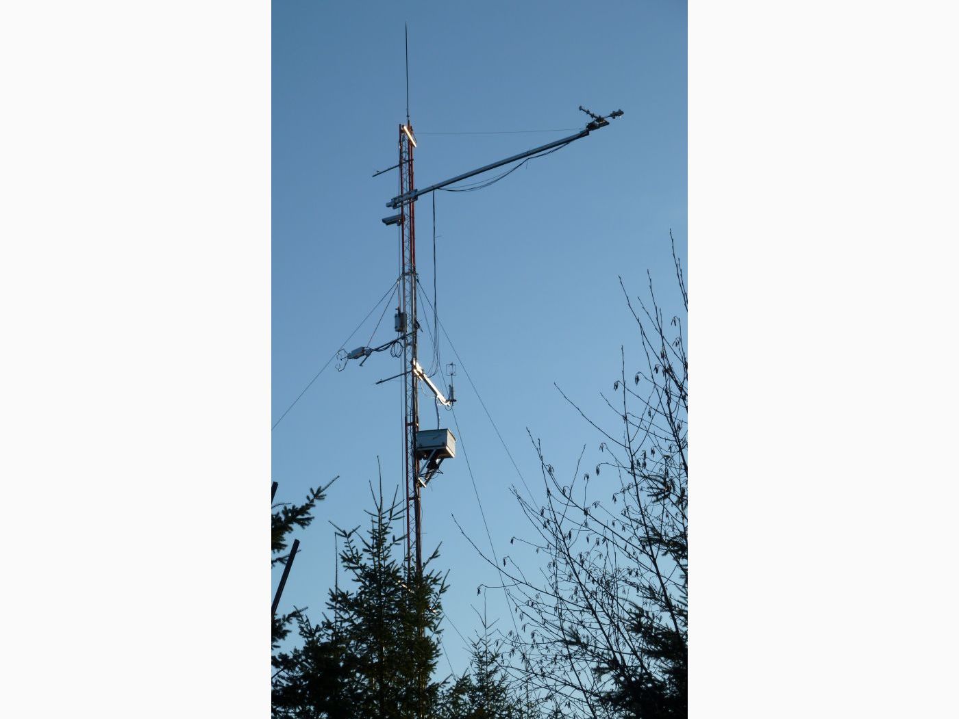 British Columbia: Forest Carbon Sequestration image 1