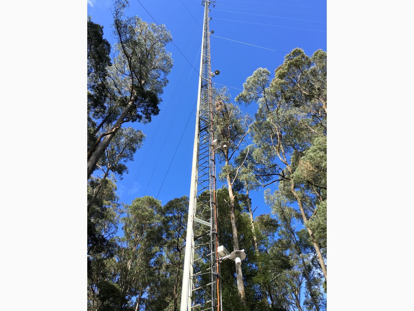 Australia: Ecological Research image 1