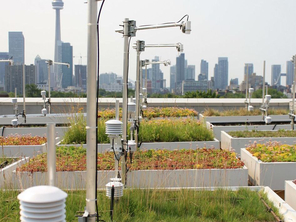 Ontario: Green Roofs image 1