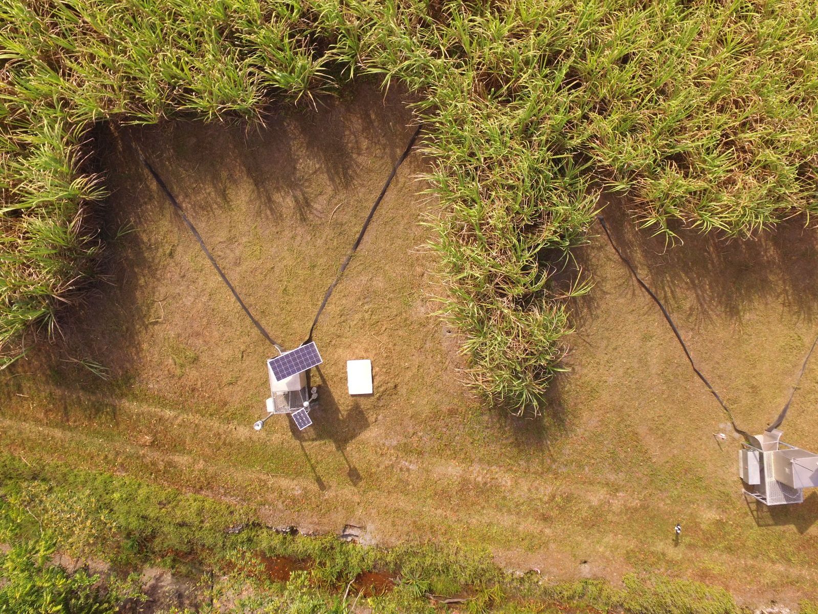 Australia: Sugarcane Soil Nutrient Monitoring image 1