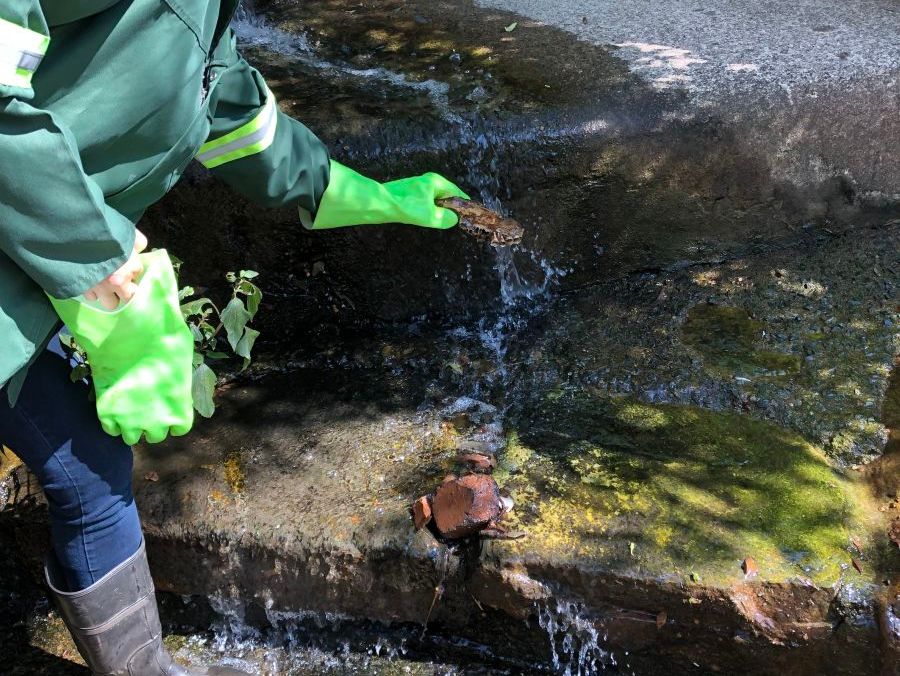 South Africa: Transforming a Polluted River image 1