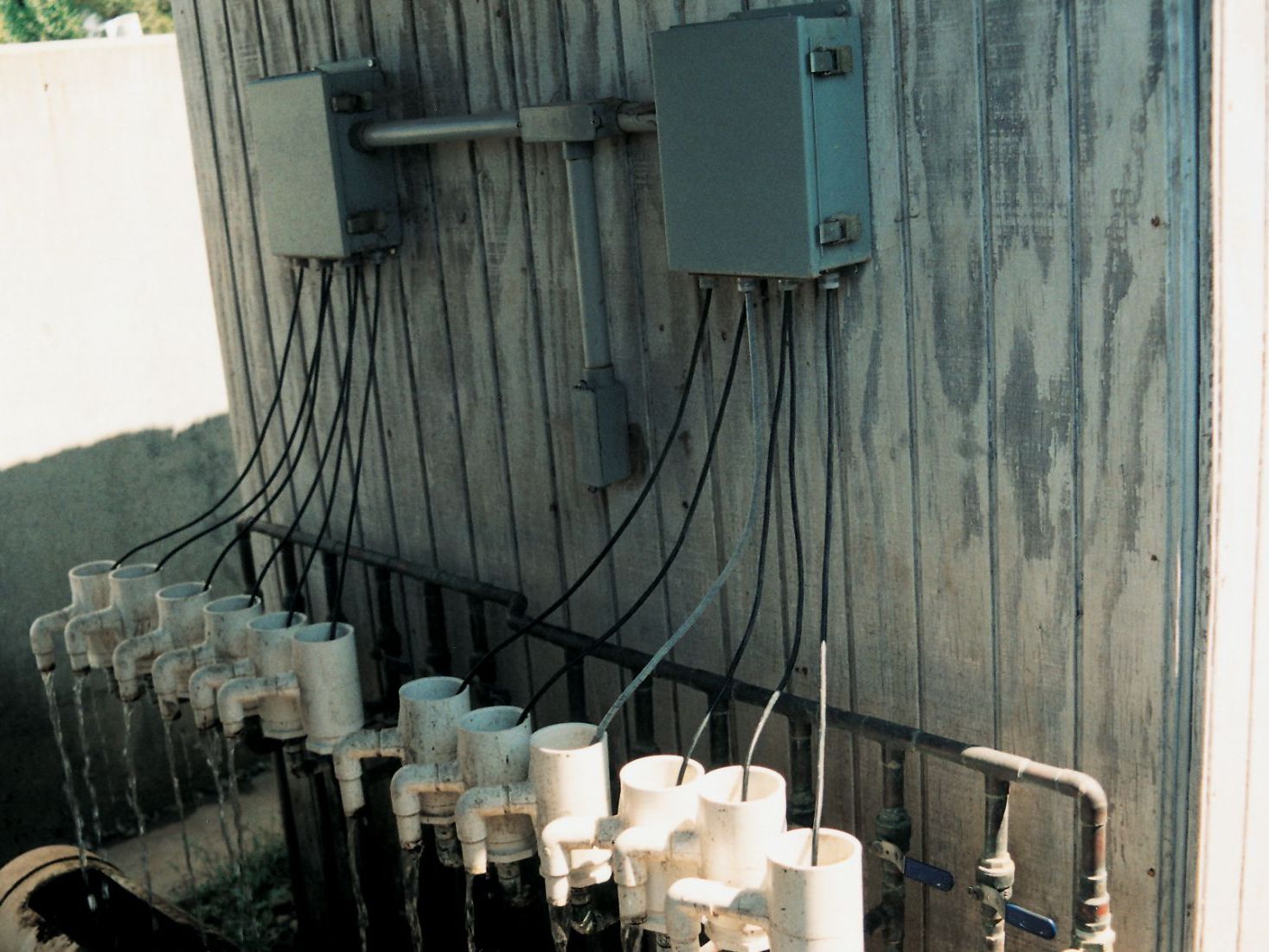 California: Monitoring Water Quality at a Recirculating Aquaculture Facility image 1