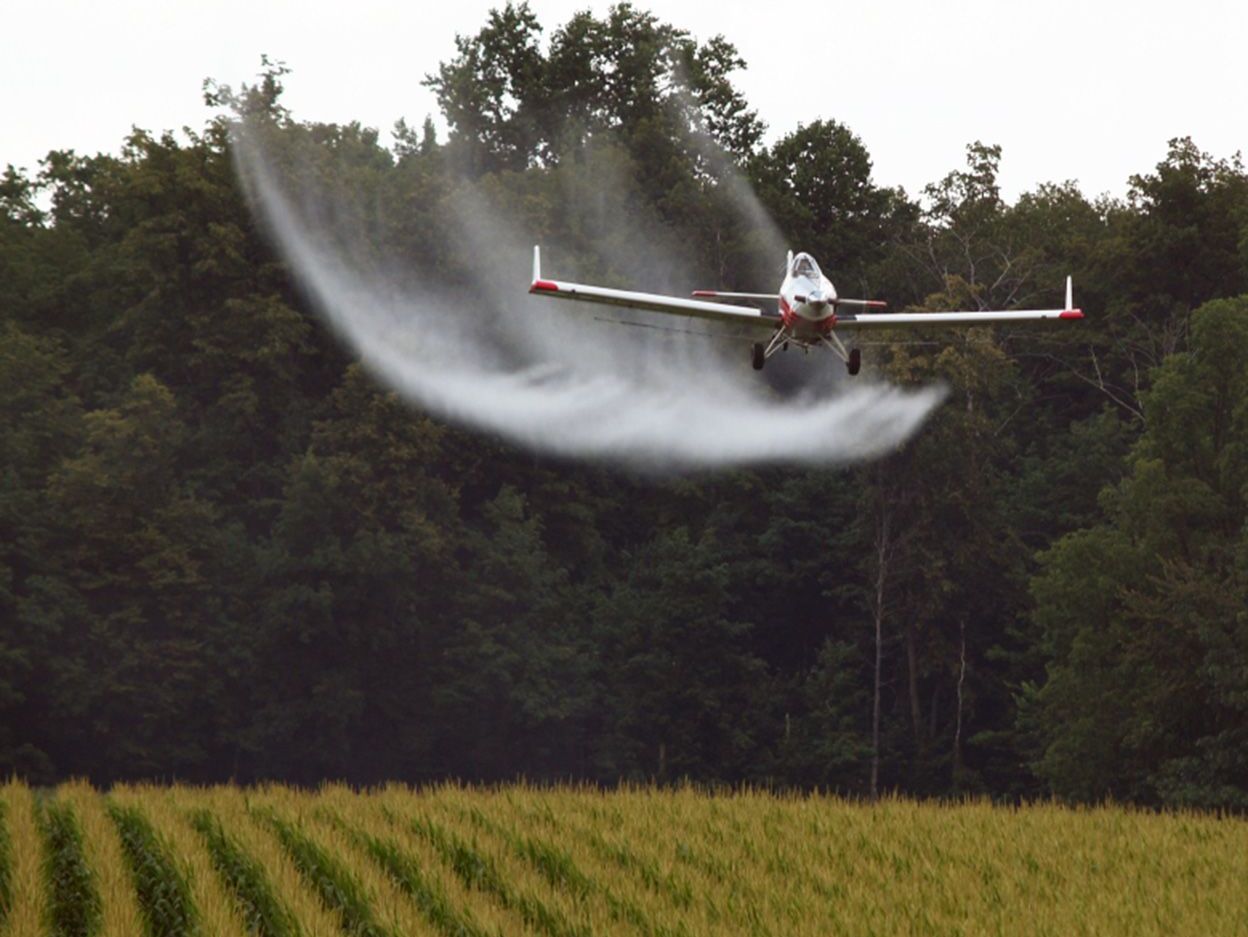 Alberta: Crop Dusting image 1
