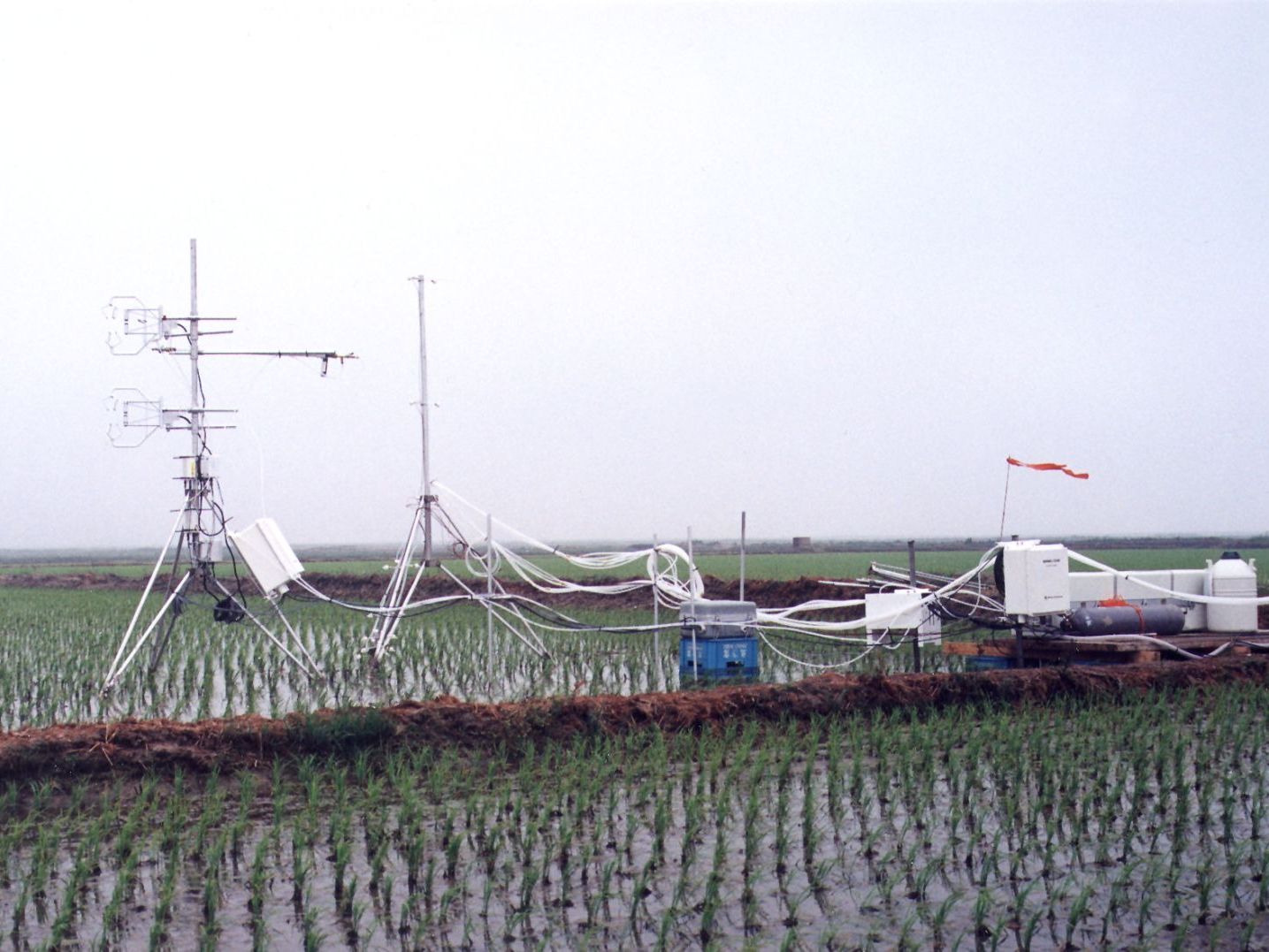Korea: Flux Monitoring over a Rice Paddy image 1