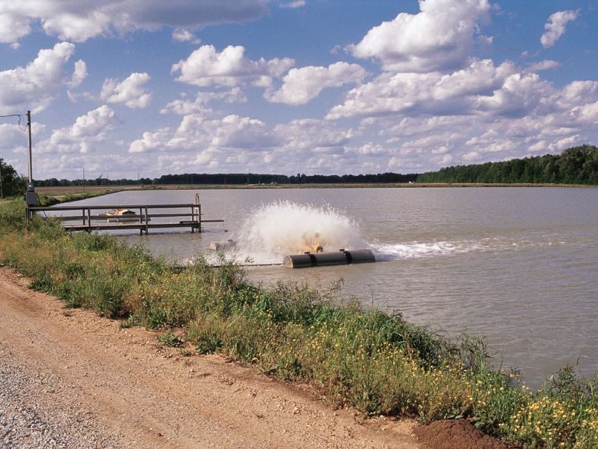 Mississippi: Dissolved Oxygen Monitoring and Control image 1