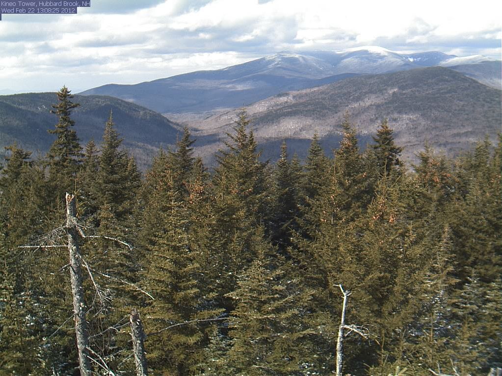 New Hampshire: Webcams in Forest image 1