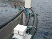 Norway: Construction and Aquaculture Projects image 1