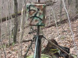 Virginia: Tracking Climate Changes in National Park image 1