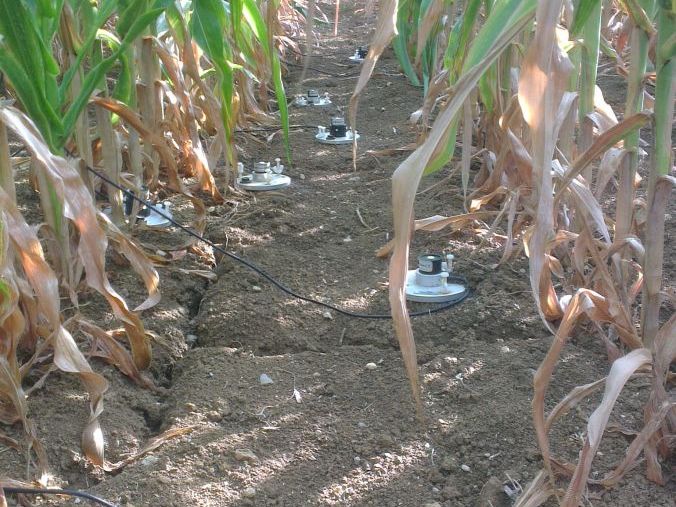 France: Studying Crop Yields image 1
