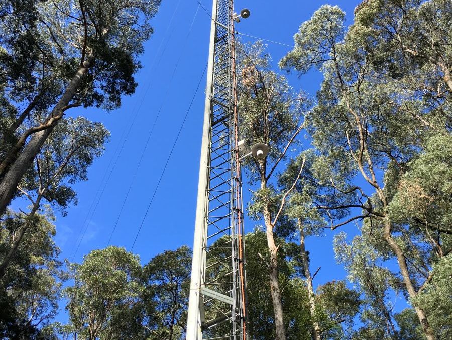 Australia: Ecological Research image 1
