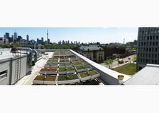 Ontario: Green Roofs image 2