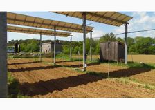 France: Dynamic Agrivoltaism image 2