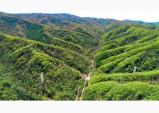 China: Flux Cooperation image 1