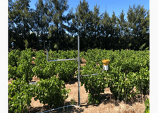 South Africa: Sustainable Solutions for Farms image 3