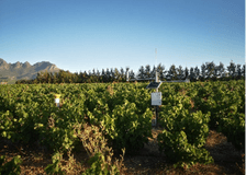 South Africa: Sustainable Solutions for Farms image 4
