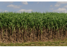 United Kingdom: Pioneering Research in Carbon Sequestration image 1