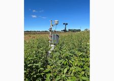South Africa: Cross-Campus Microclimate Mapping image 3