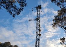 Australia: Using Sun-Induced Fluorescence to Detect Plant Stress image 2
