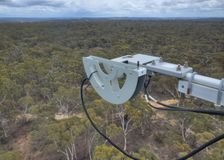 Australia: Using Sun-Induced Fluorescence to Detect Plant Stress image 1