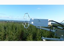 British Columbia: Forest Carbon Sequestration image 3