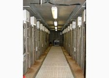 Australia: Rhizolysimeter Facility image 1