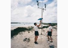 Bahamas: Marine Ecology image 1