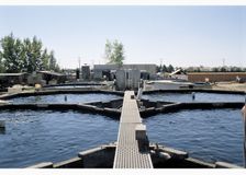 California: Monitoring Water Quality at a Recirculating Aquaculture Facility image 3