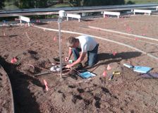 Illinois: Research Roof Garden image 2