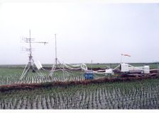 Korea: Flux Monitoring over a Rice Paddy image 1