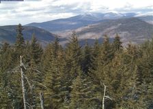 New Hampshire: Webcams in Forest image 1