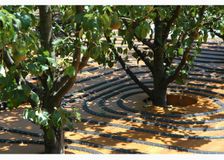 Spain: Irrigation and Solar Radiation image 2
