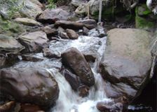 New Zealand: Coal Mine Water Quality Monitoring image 5