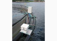 Norway: Construction and Aquaculture Projects image 1